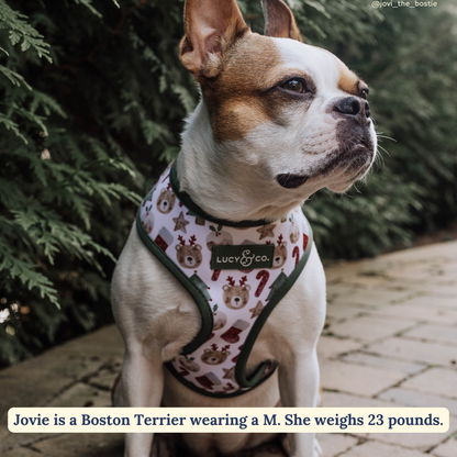 The Jingle Bells Reversible Harness