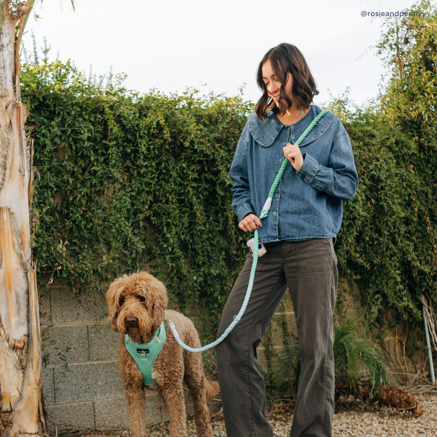 Spring Green Hands-Free Rope Leash