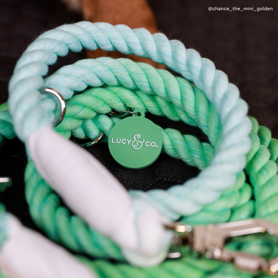 Spring Green Hands-Free Rope Leash