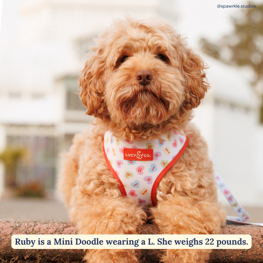 Talk About Love Reversible Harness