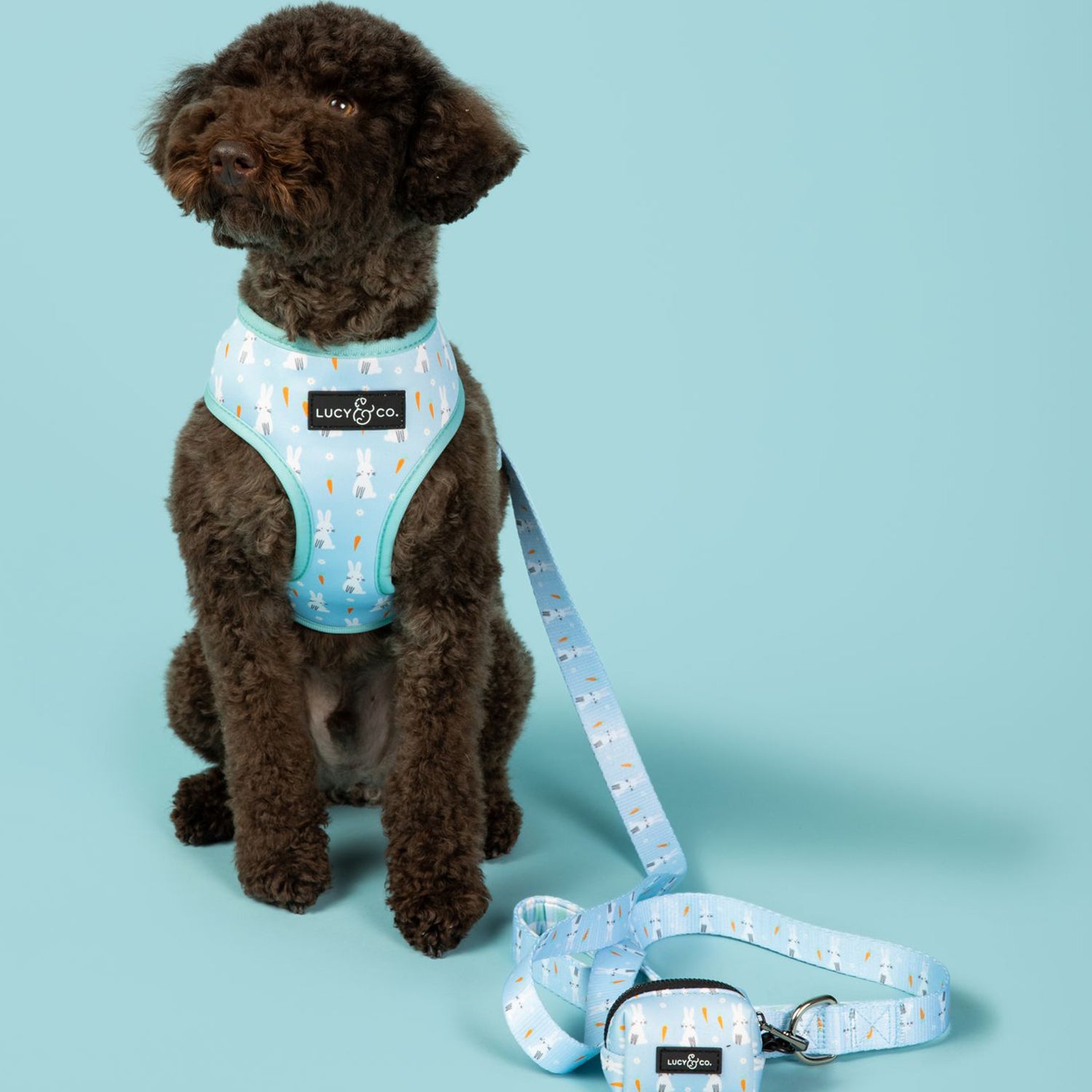 Lucy hot sale co harness