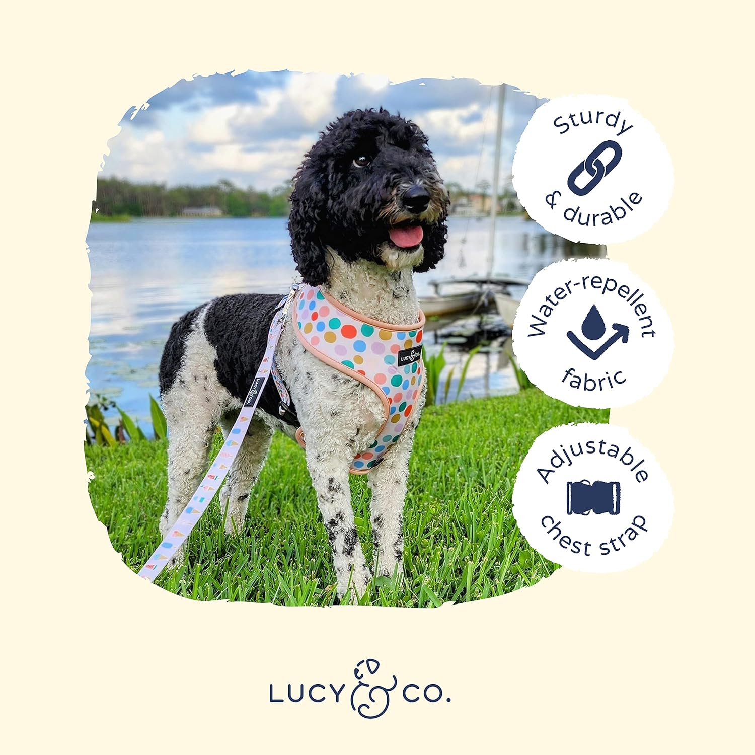 The A Lotto Gelato Reversible Dog Harness Shop The Best Dog Gear Lucy Co