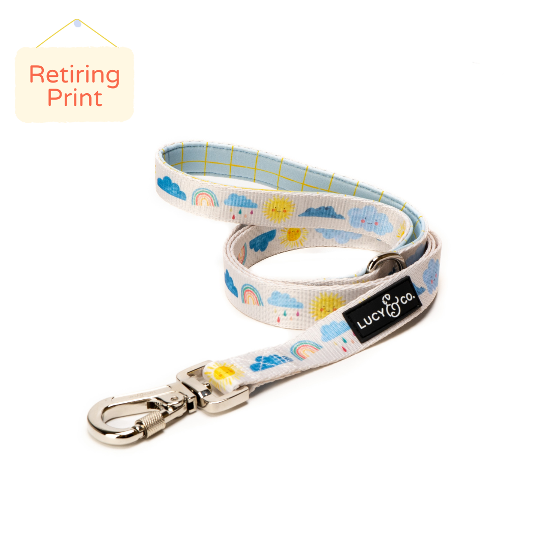 The Rain or Shine Leash