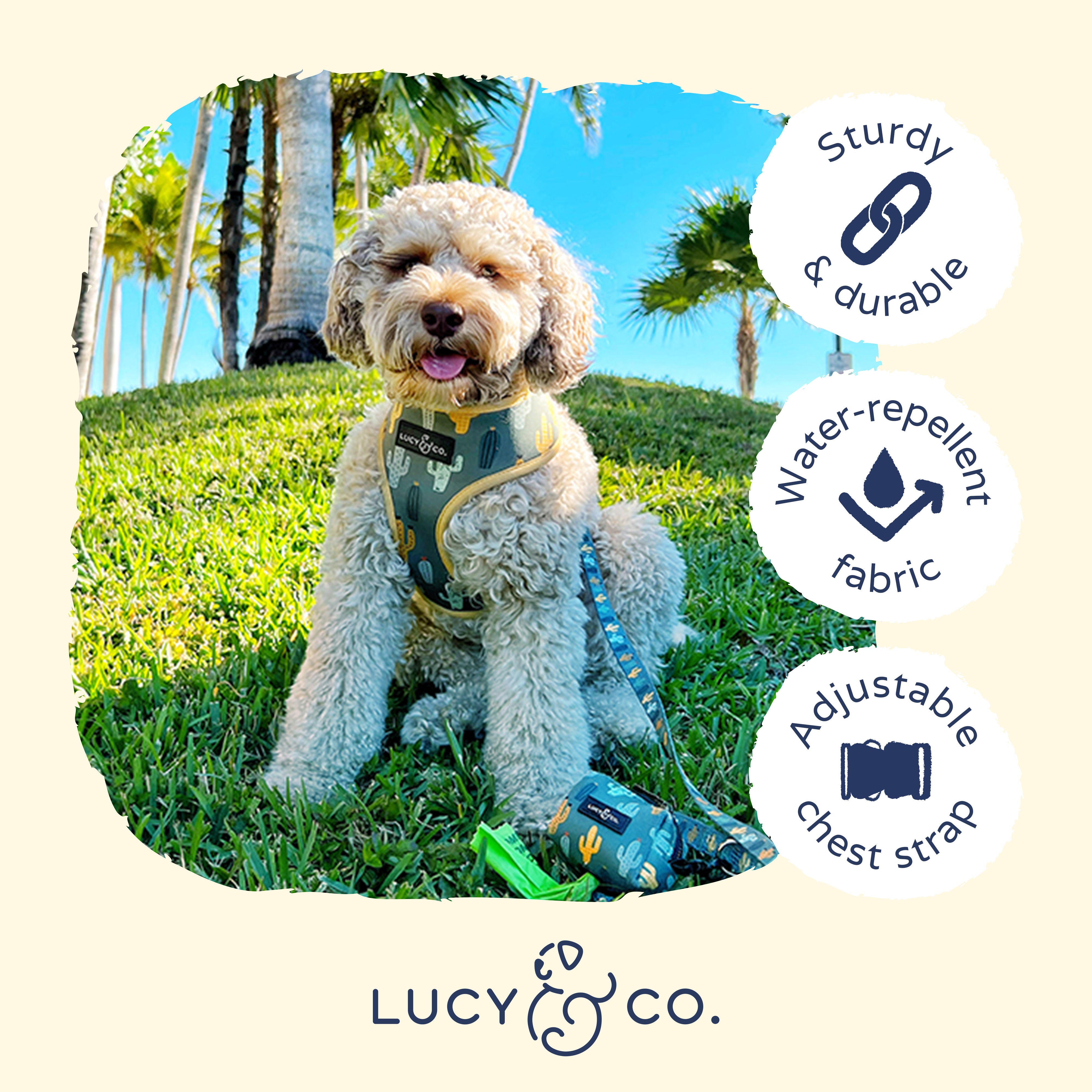 The Looking Sharp Reversible Dog Harness Shop The Best Dog Gear Lucy Co