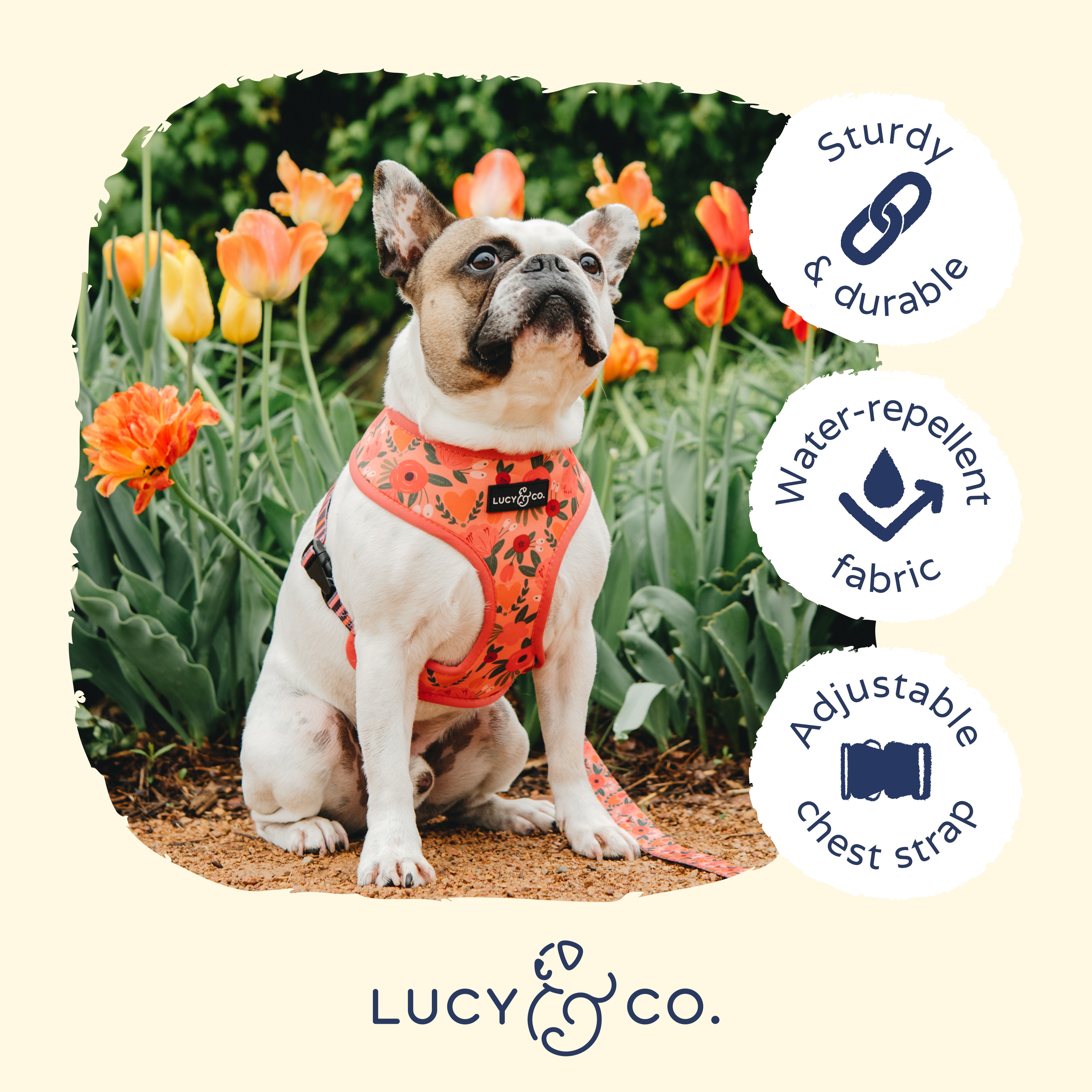 Big dog little dog harness best sale