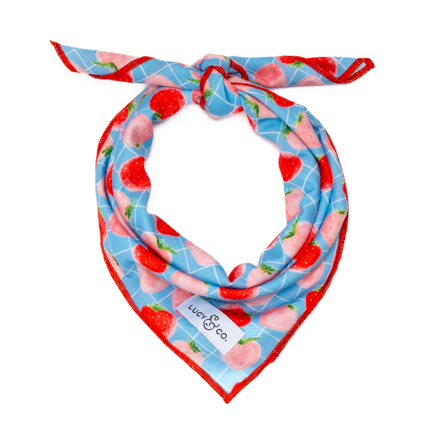 Fresh Berries Bandana