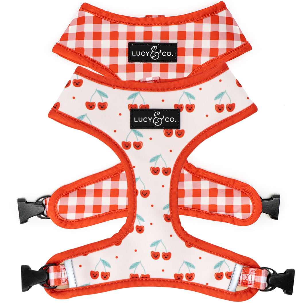 Cute Matching Dog Harnesses & Leashes - Top-Rated Walk Gear – Lucy & Co.