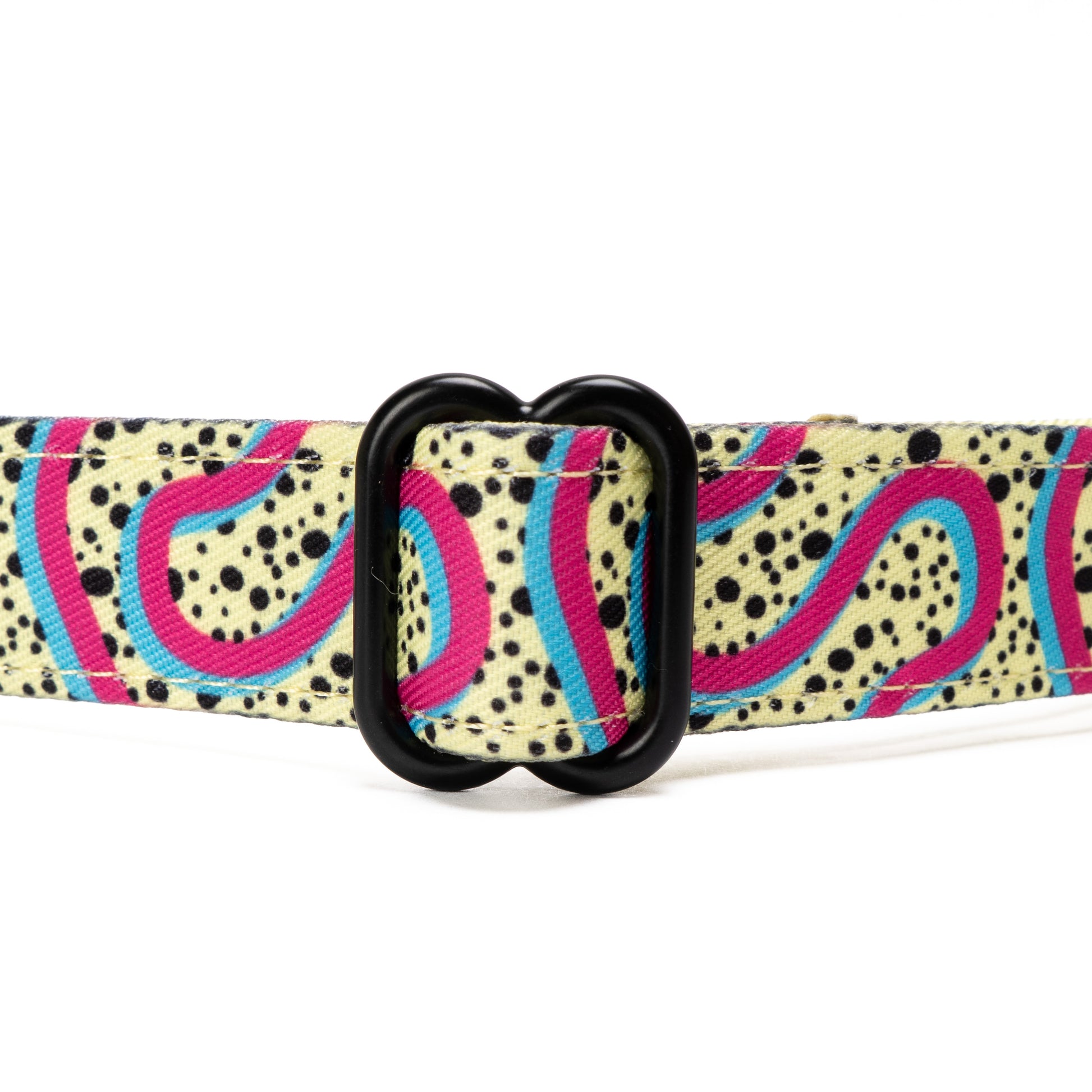 Lucy & Co. Rolling Around Malibu Adjustable Dog Collar- Cute Designer Pet  Collar for Small, Medium, Large Dogs- Buckle Closure Dog Accessories