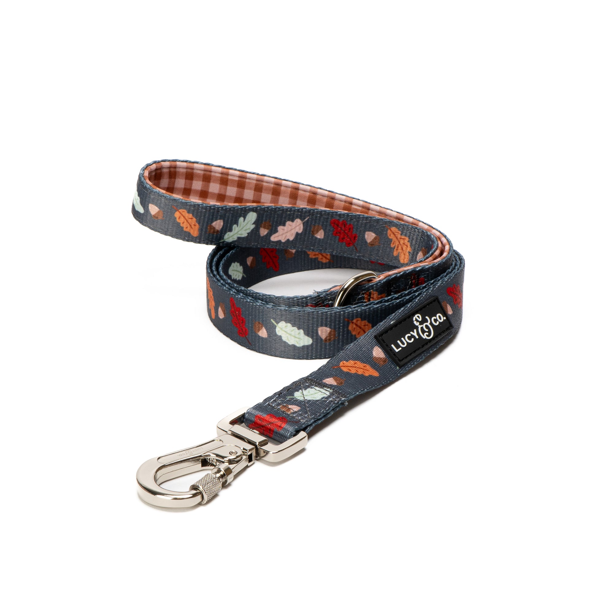 Fall Leaves Dog Leash 1