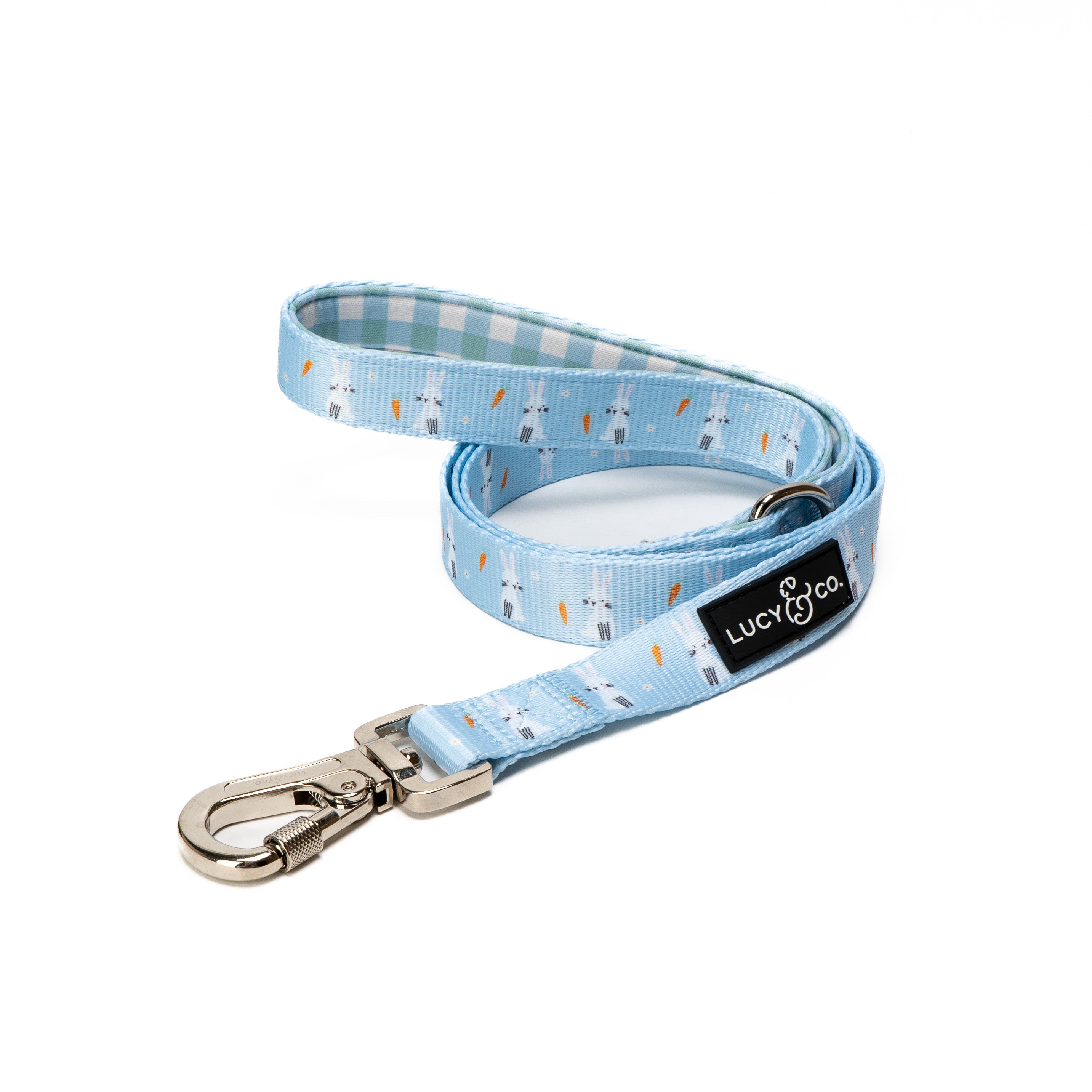 Spring leash shop