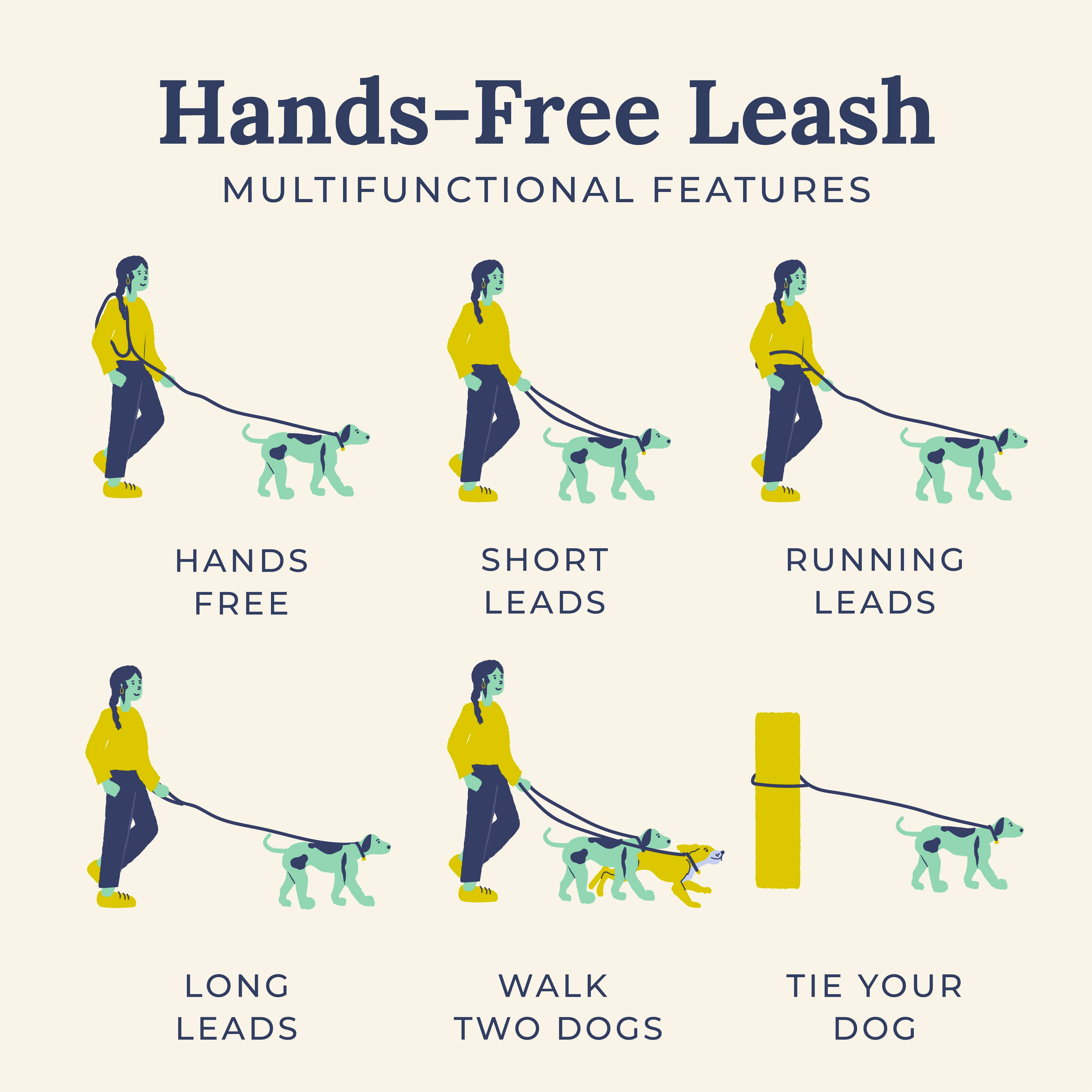 Hands 2024 free leash