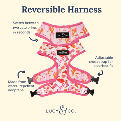 Howdy, Honey Reversible Harness