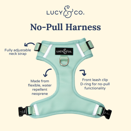 Spring Green No-Pull Harness