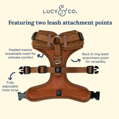 The Cinnamon Teddy No-Pull Harness