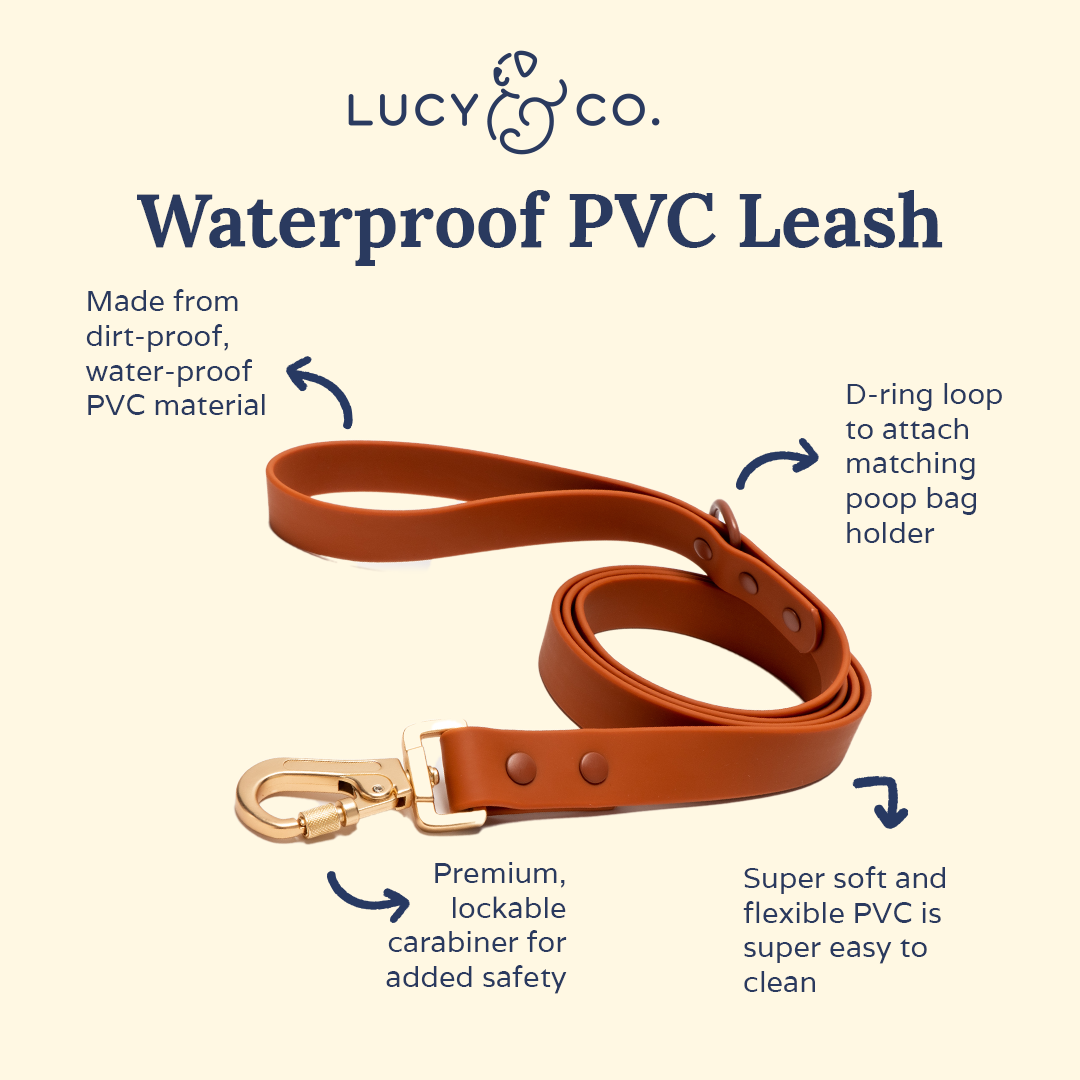 Terracotta Waterproof PVC Leash