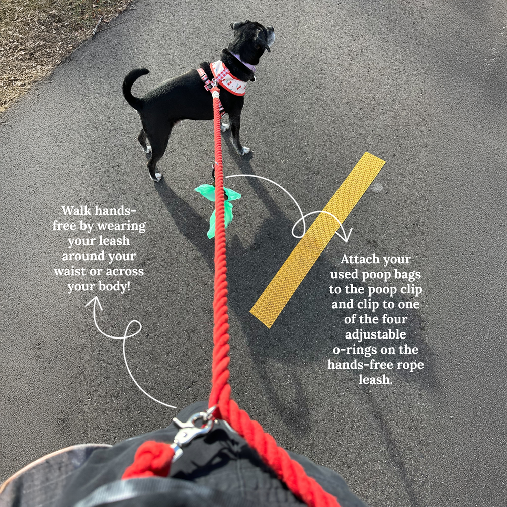 The Rosewater Hands-Free Rope Leash