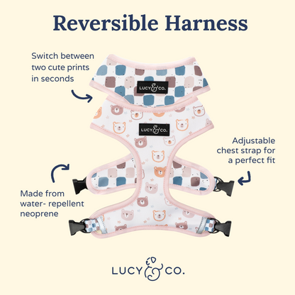 The Unbearably Cute Reversible Harness