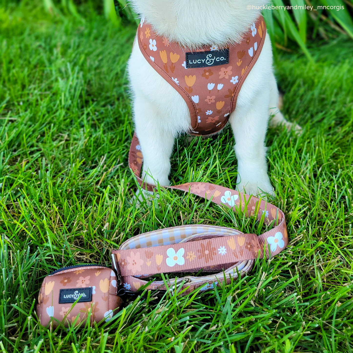 The Chocolate Meadows Poop Bag Holder