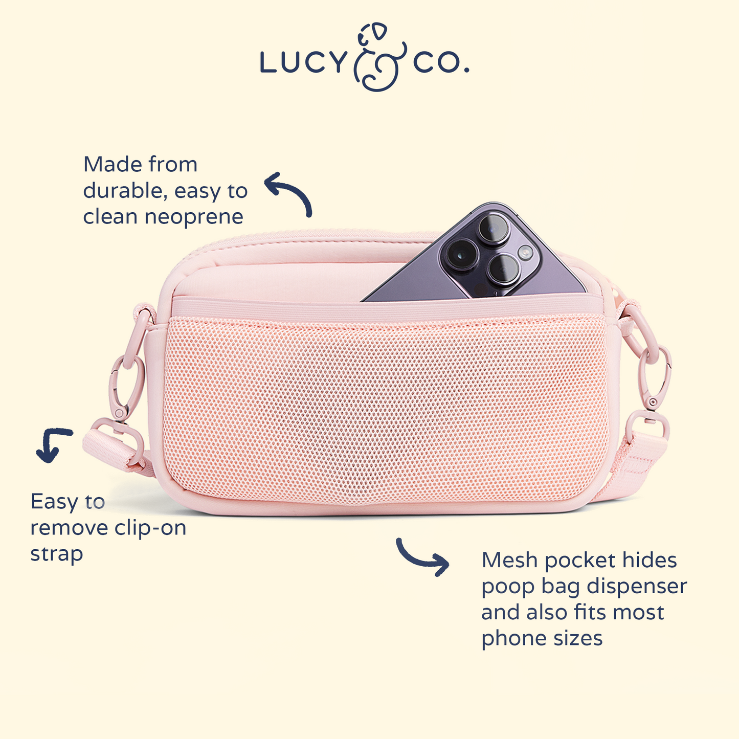 The Rosewater Crossbody Treat Bag