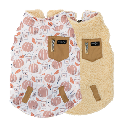 The Awesomely Autumn Reversible Teddy Vest