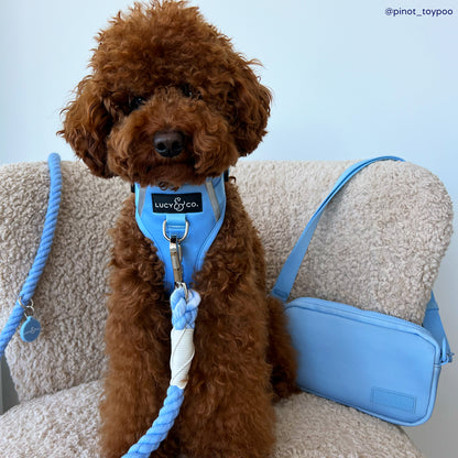 The Denim Blue Hands-Free Rope Leash