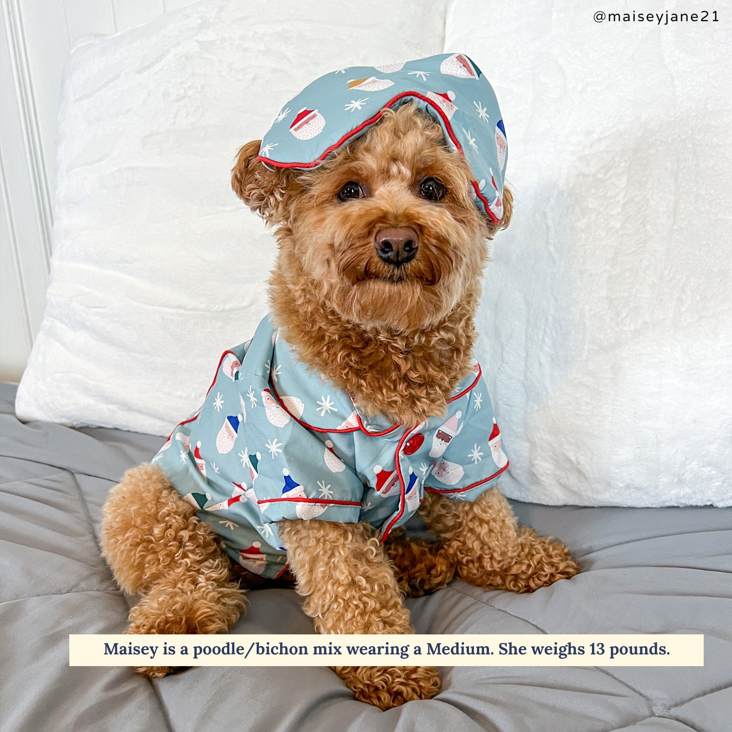 Dog and human discount pajamas