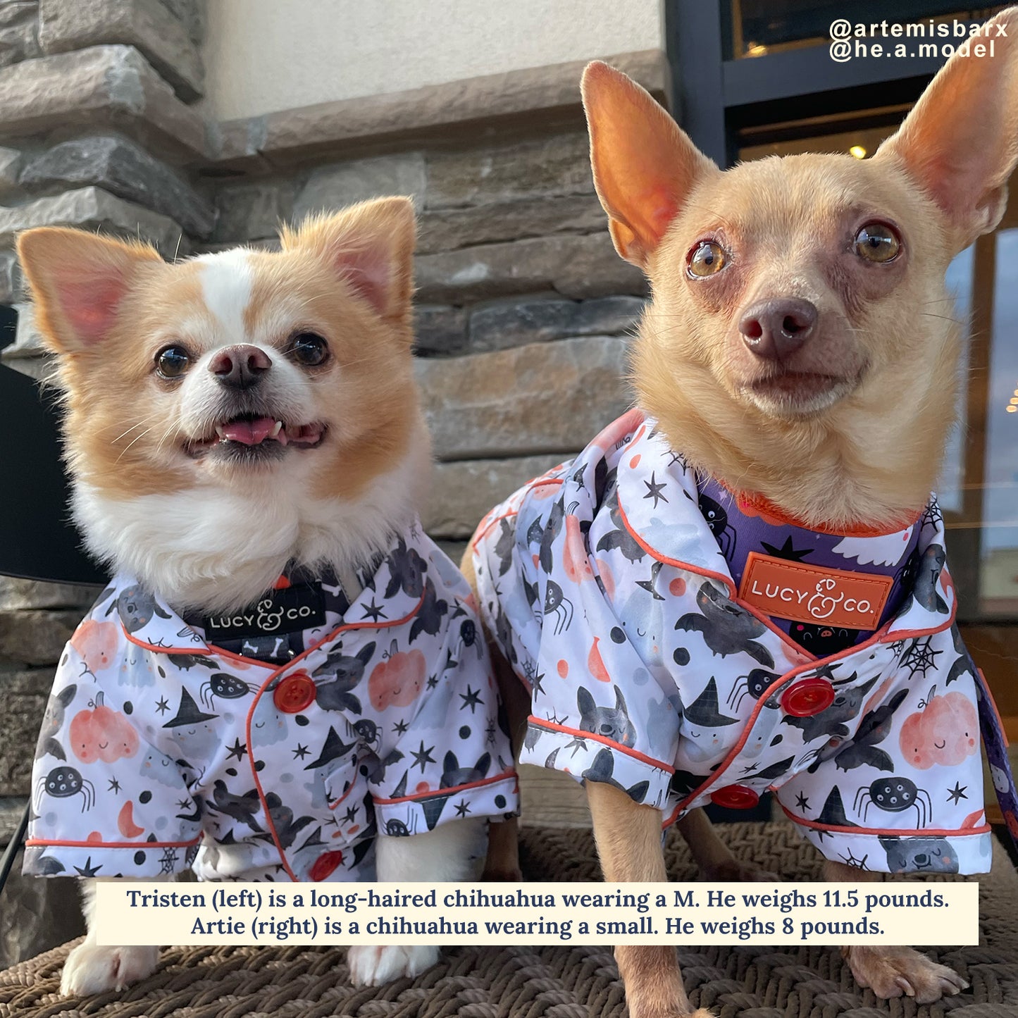 Halloween Night Dog Pajamas + Human Eye Pillow