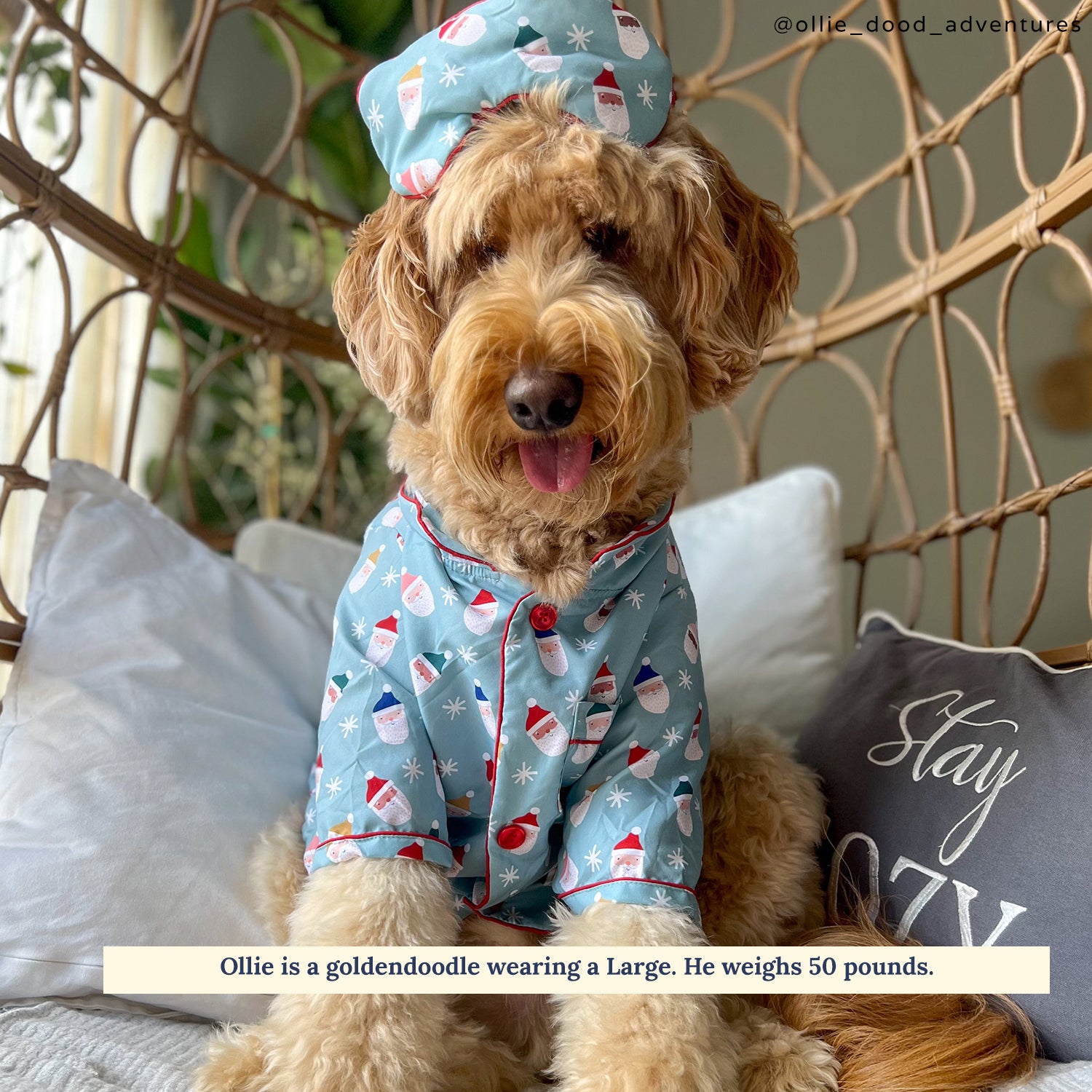 The Merry & Bright Holiday Dog Pajamas | Lucy & Co.