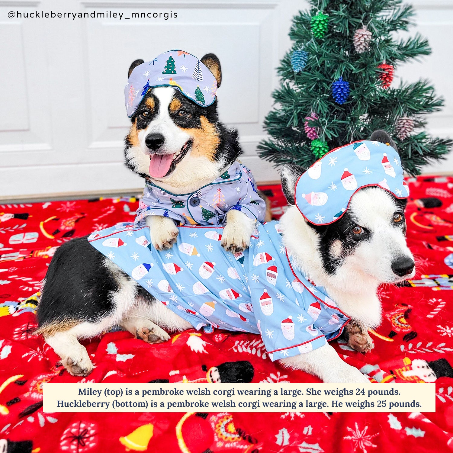 Corgi best sale christmas pajamas