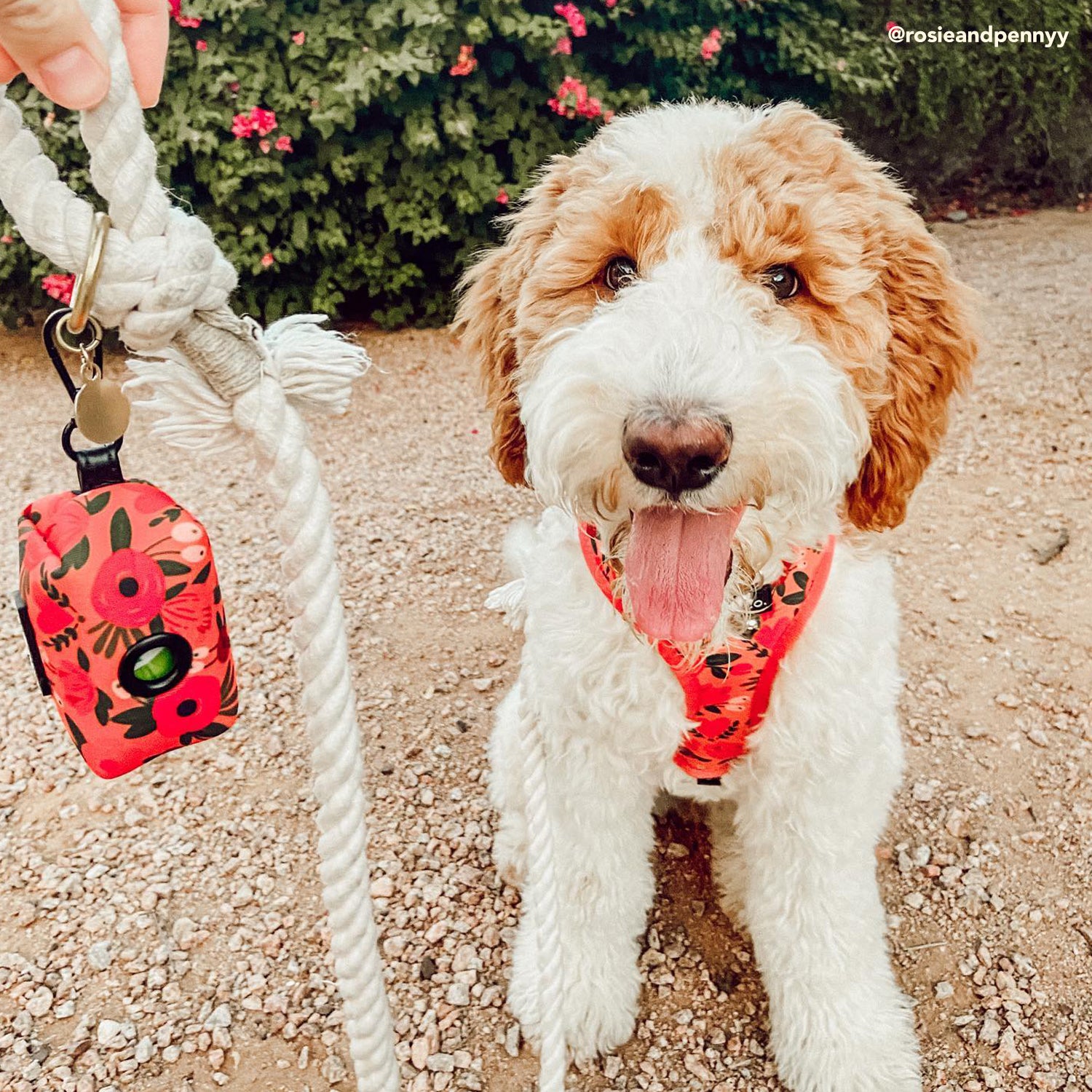 The Posy Pink Poop Bag Holder Lucy Co