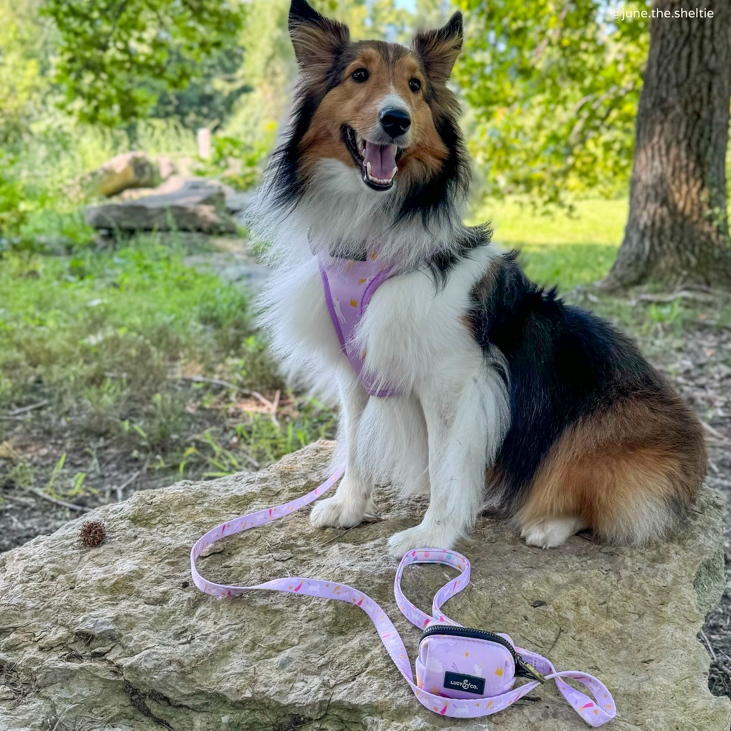 The Making Magic Poop Bag Holder