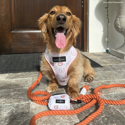 The Unbearably Cute Poop Bag Holder