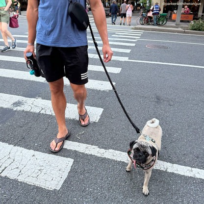 The Midnight Hands-Free Rope Leash