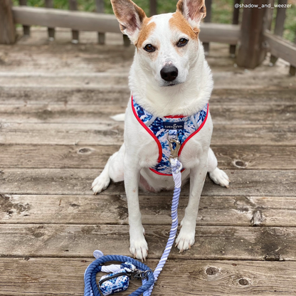 The Blueberry Twist Hands-Free Rope Leash