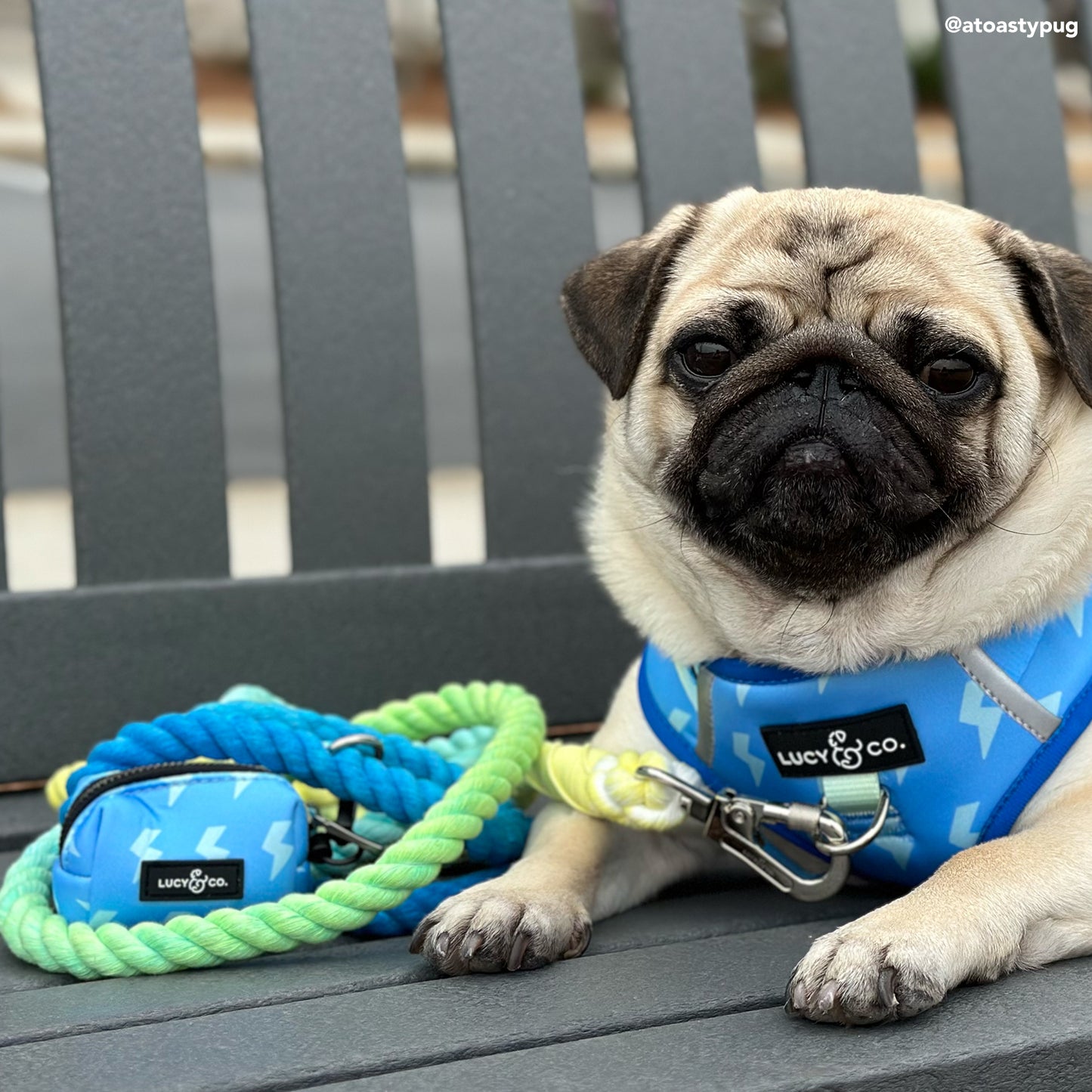 The Bolt of Energy Hands-Free Rope Leash