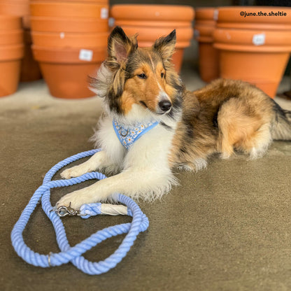 The Denim Blue Hands-Free Rope Leash