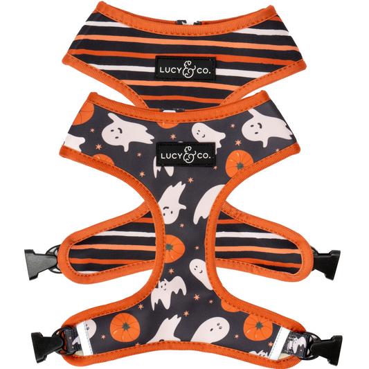 The Happy Haunting Reversible Harness