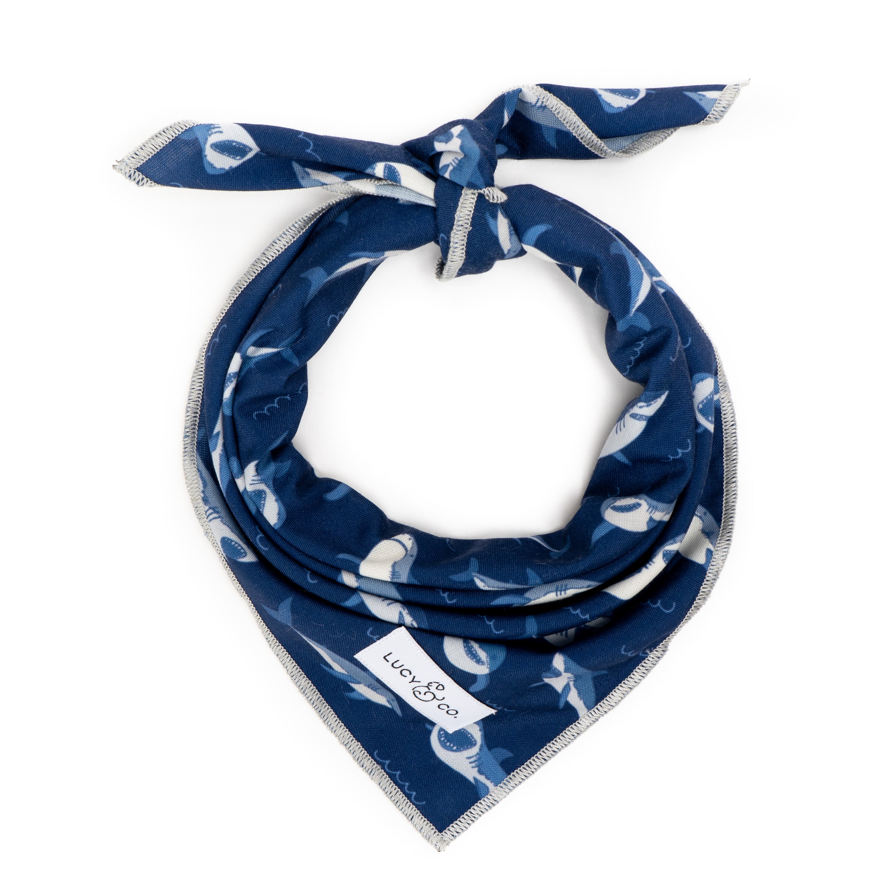 Shop Cute Dog Bandanas | Lucy & Co.