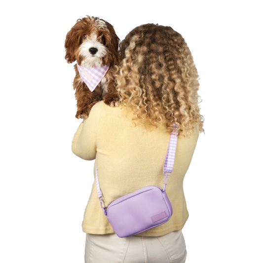 Lucy & Co. The Cinnamon Teddy Crossbody Dog Treat Bag | Fall Dog Gear