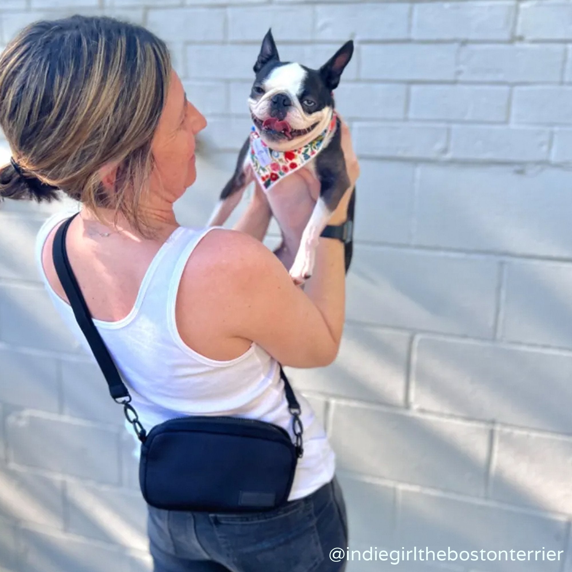 Cross body shop dog treat bag