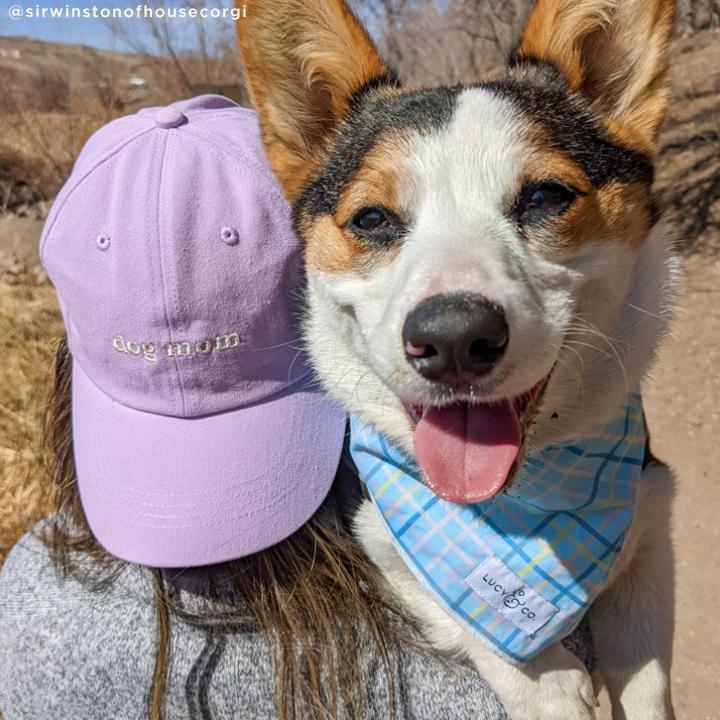 Dog mom outlet visor