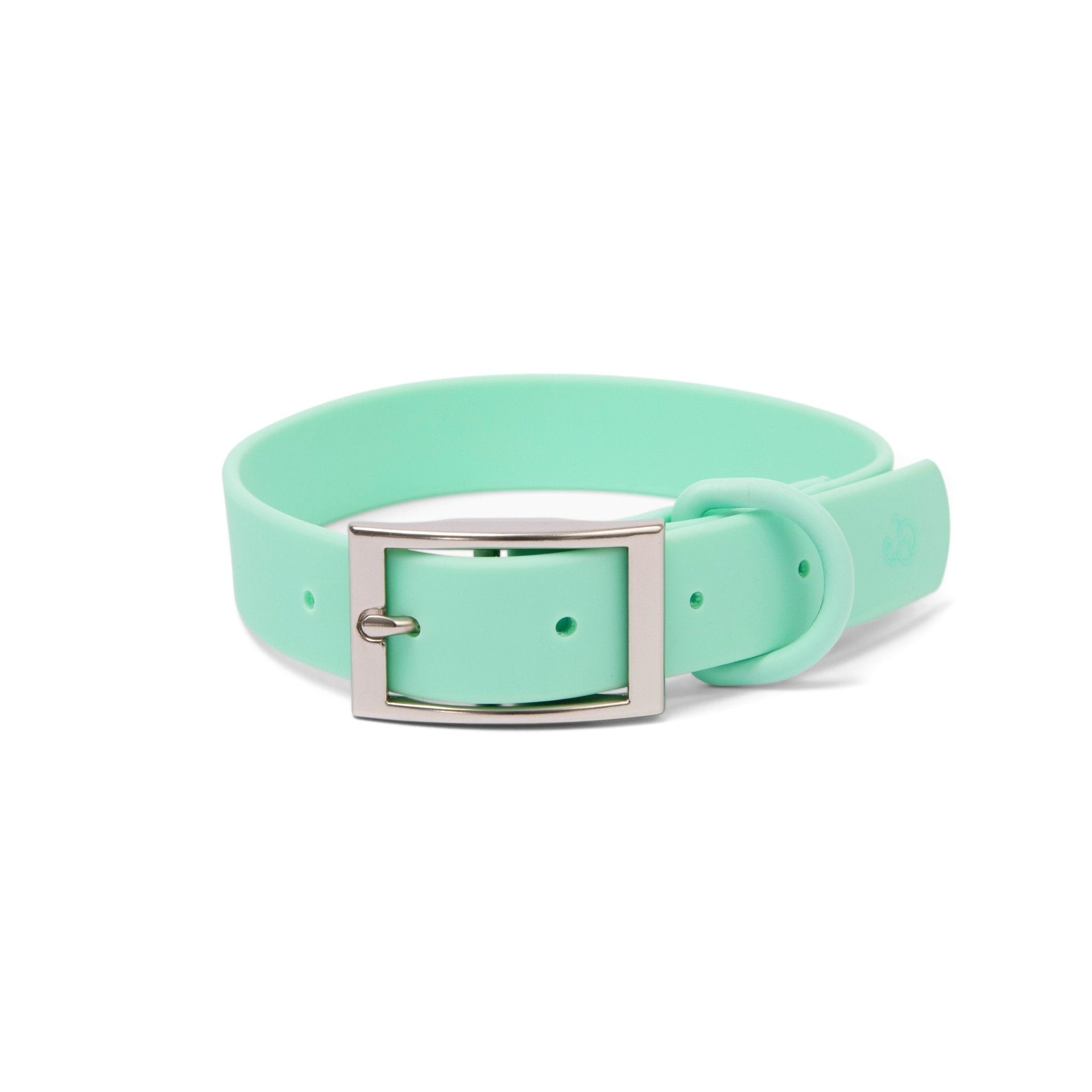 Mint Dog Collar Ditsy Dots