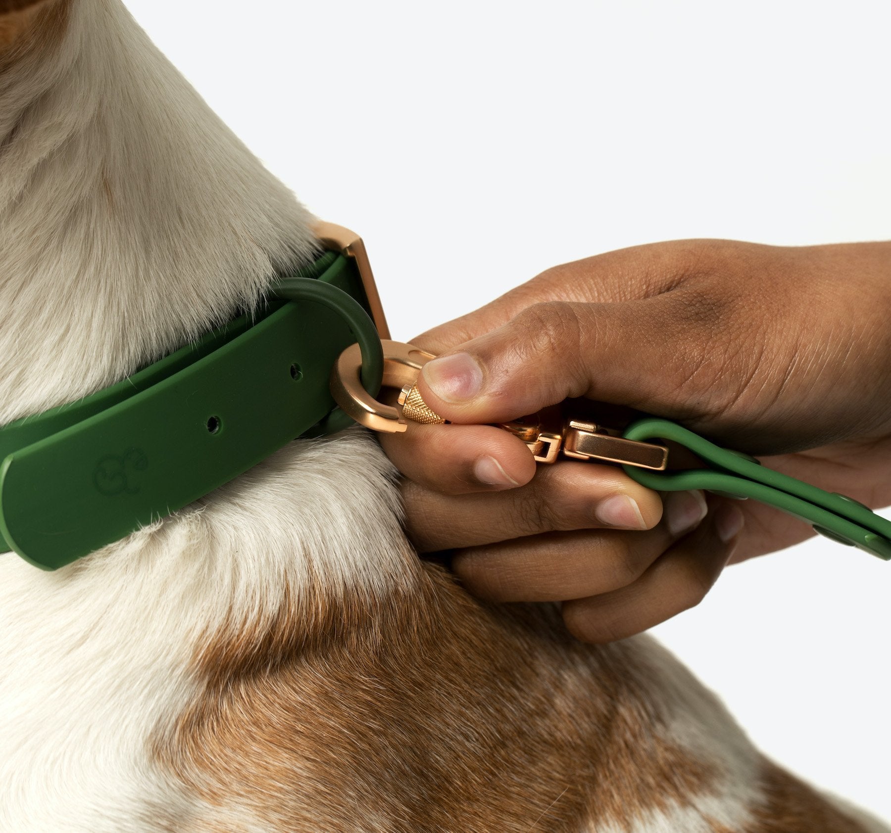 Water bark outlet collar