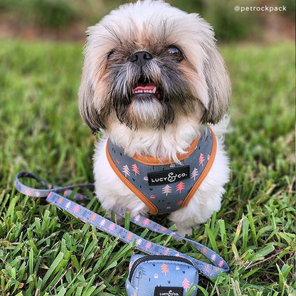 The Take a Hike Leash